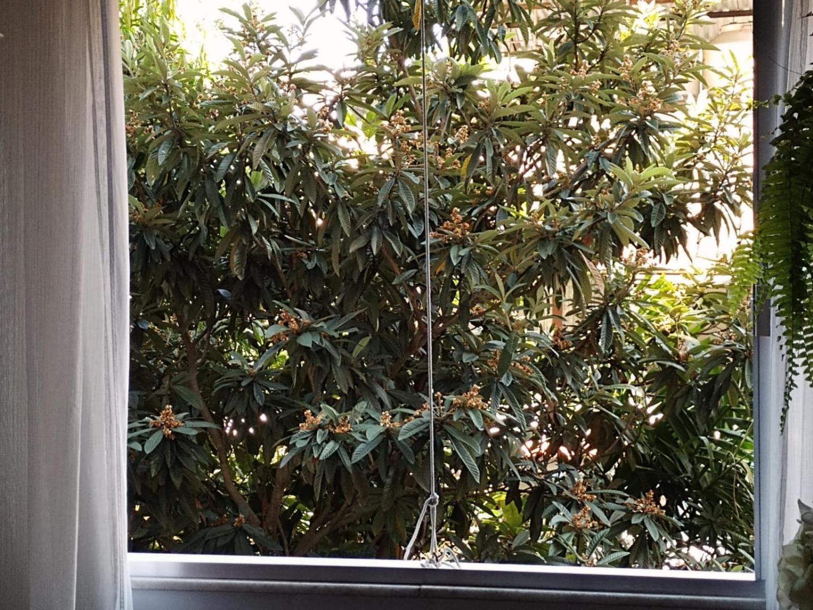 Apartamento Parque Jardim Europa Rio de Janeiro Kültér fotó
